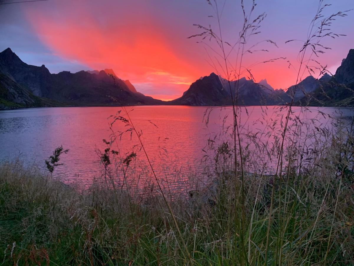 Reinefjord Panorama Villa Moskenes Kültér fotó