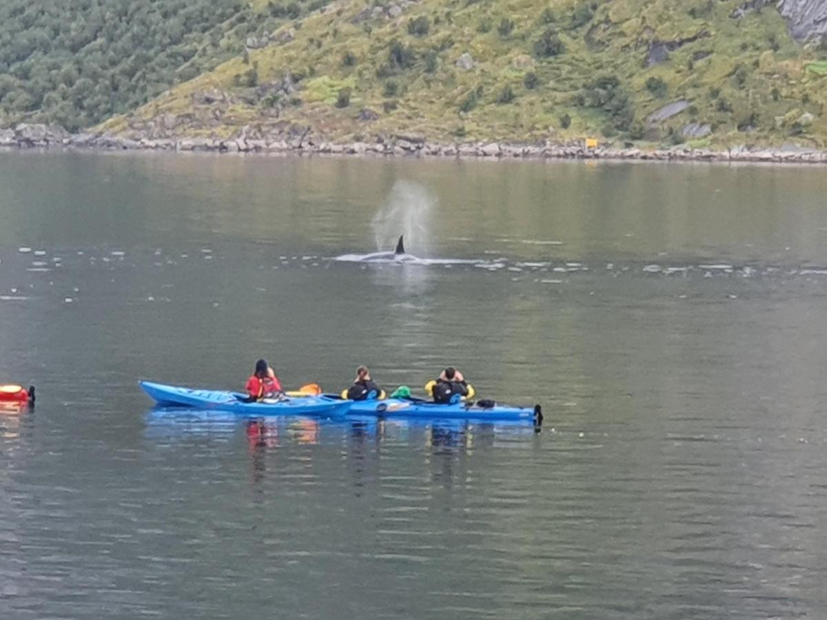 Reinefjord Panorama Villa Moskenes Kültér fotó