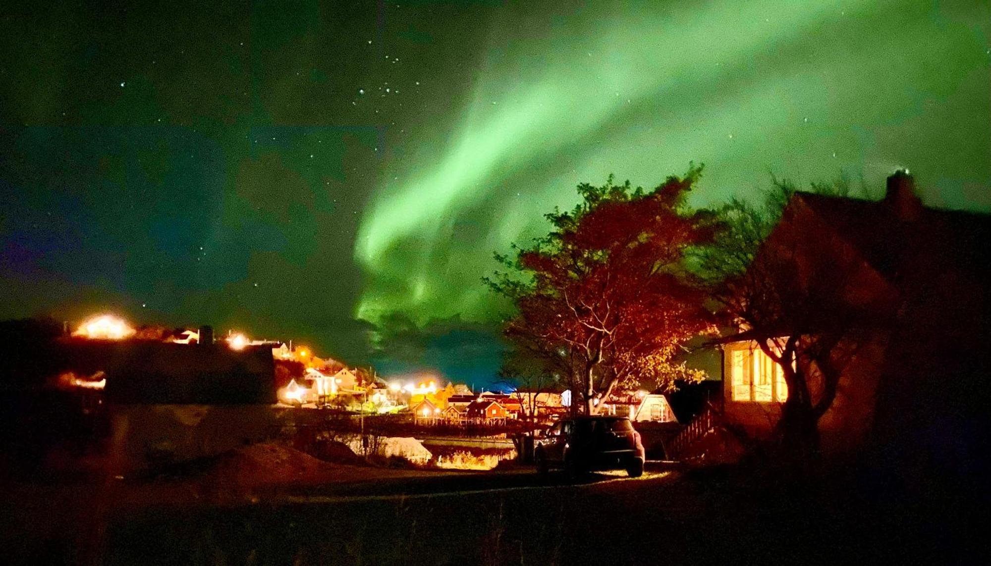 Reinefjord Panorama Villa Moskenes Kültér fotó